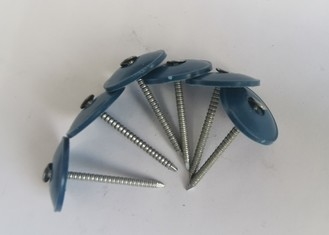 Screw Shank Foundry 4 Inch Plastic Cap Nails Oem