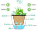 Automatic Water Absorbing Plastic Flower Pots / Garden Plant Pots Simplicity Style