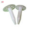 White Plastic Drywall Anchors / External Insulation Board Fixings Strong Penetration